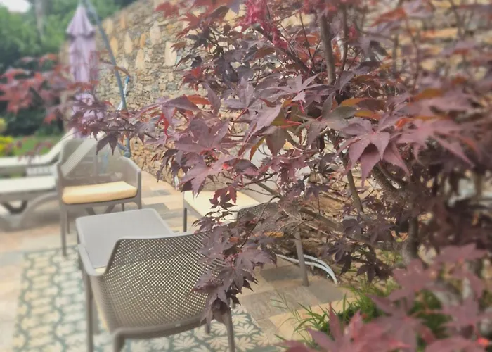 Rez De Villa Avec Piscine Privee, Wifi, Jardin Cloture