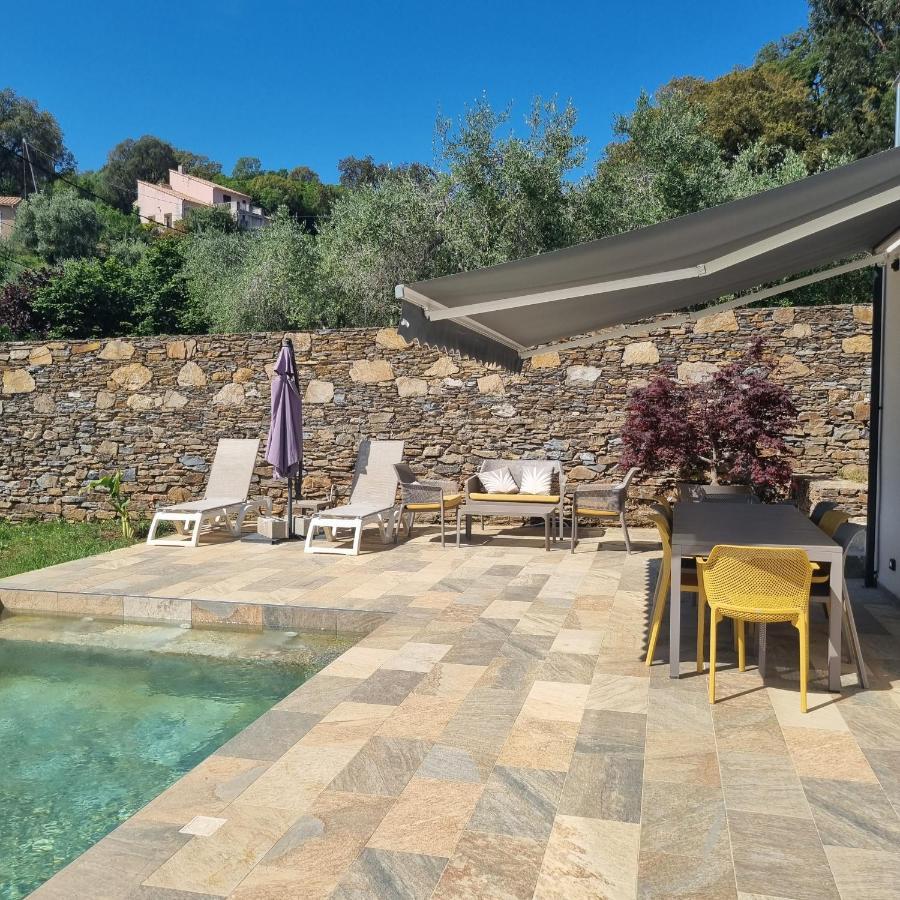 Apartment Rez De Avec Piscine Privee, Wifi, Jardin Cloture