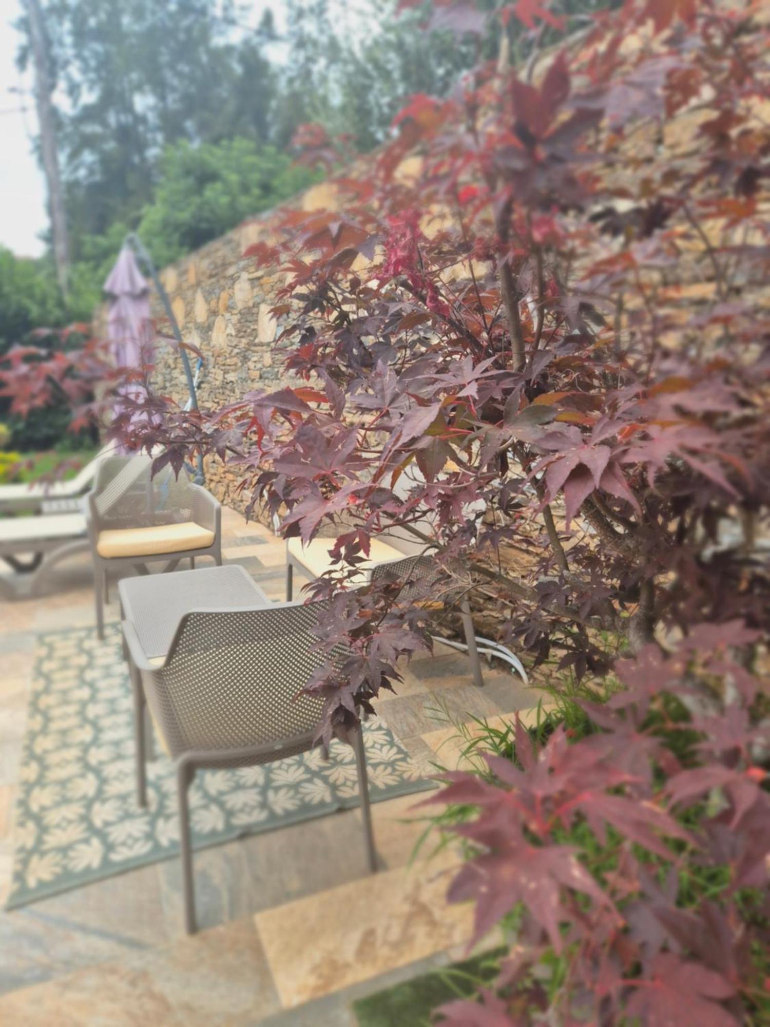 Rez De Avec Piscine Privee, Wifi, Jardin Cloture Apartment Penta di Casinca